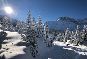 Winter im goldenen Tal